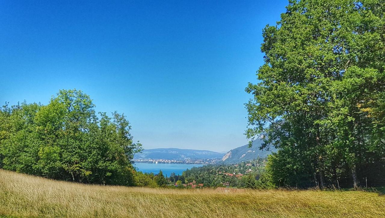 Manou Du Lac Annecy Doussard Kültér fotó